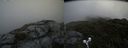 ./images/calvert/buxton2/20190704/buxton220190704_110452M.jpg