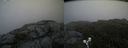 ./images/calvert/buxton2/20190704/buxton220190704_112952M.jpg
