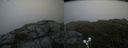 ./images/calvert/buxton2/20190704/buxton220190704_113452M.jpg