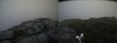 ./images/calvert/buxton2/20190704/buxton220190704_113951M.jpg