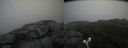 ./images/calvert/buxton2/20190704/buxton220190704_114452M.jpg