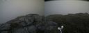 ./images/calvert/buxton2/20190704/buxton220190704_115452M.jpg