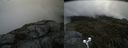 ./images/calvert/buxton2/20190704/buxton220190704_132952M.jpg