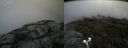 ./images/calvert/buxton2/20190704/buxton220190704_133452M.jpg