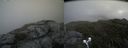 ./images/calvert/buxton2/20190704/buxton220190704_135452M.jpg