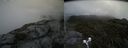 ./images/calvert/buxton2/20190704/buxton220190704_140452M.jpg