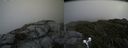 ./images/calvert/buxton2/20190704/buxton220190704_151952M.jpg