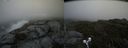 ./images/calvert/buxton2/20190704/buxton220190704_154452M.jpg