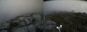 ./images/calvert/buxton2/20190704/buxton220190704_161952M.jpg