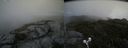 ./images/calvert/buxton2/20190704/buxton220190704_163452M.jpg
