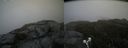 ./images/calvert/buxton2/20190704/buxton220190704_164452M.jpg