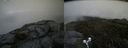 ./images/calvert/buxton2/20190704/buxton220190704_172952M.jpg