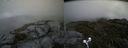 ./images/calvert/buxton2/20190704/buxton220190704_180952M.jpg