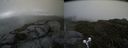 ./images/calvert/buxton2/20190704/buxton220190704_181452M.jpg
