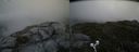 ./images/calvert/buxton2/20190704/buxton220190704_182452M.jpg