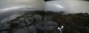 ./images/calvert/buxton2/20190704/buxton220190704_184452M.jpg
