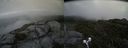 ./images/calvert/buxton2/20190704/buxton220190704_184952M.jpg