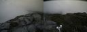 ./images/calvert/buxton2/20190704/buxton220190704_185952M.jpg