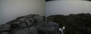 ./images/calvert/buxton2/20190707/buxton220190707_125951M.jpg