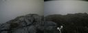 ./images/calvert/buxton2/20190707/buxton220190707_134451M.jpg