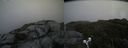 ./images/calvert/buxton2/20190707/buxton220190707_140952M.jpg