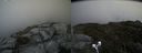 ./images/calvert/buxton2/20190707/buxton220190707_142451M.jpg