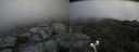 ./images/calvert/buxton2/20190707/buxton220190707_144951M.jpg