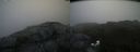 ./images/calvert/buxton2/20190708/buxton220190708_074451M.jpg