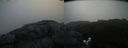 ./images/calvert/buxton2/20190708/buxton220190708_081451M.jpg