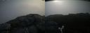 ./images/calvert/buxton2/20190708/buxton220190708_082951M.jpg