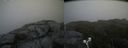 ./images/calvert/buxton2/20190708/buxton220190708_112451M.jpg