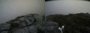./images/calvert/buxton2/20190708/buxton220190708_124451M.jpg