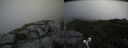 ./images/calvert/buxton2/20190708/buxton220190708_125951M.jpg