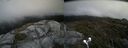 ./images/calvert/buxton2/20190708/buxton220190708_144951M.jpg
