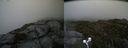 ./images/calvert/buxton2/20190710/buxton220190710_154451M.jpg
