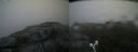./images/calvert/buxton2/20190710/buxton220190710_190951M.jpg