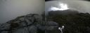 ./images/calvert/buxton2/20190711/buxton220190711_112951M.jpg