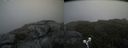 ./images/calvert/buxton2/20190711/buxton220190711_123951M.jpg