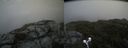 ./images/calvert/buxton2/20190711/buxton220190711_144451M.jpg