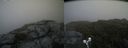 ./images/calvert/buxton2/20190711/buxton220190711_150451M.jpg