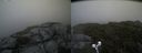 ./images/calvert/buxton2/20190711/buxton220190711_150951M.jpg