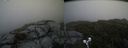 ./images/calvert/buxton2/20190711/buxton220190711_154952M.jpg