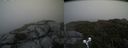./images/calvert/buxton2/20190711/buxton220190711_160451M.jpg