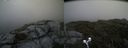 ./images/calvert/buxton2/20190711/buxton220190711_161451M.jpg