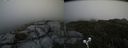 ./images/calvert/buxton2/20190711/buxton220190711_164451M.jpg