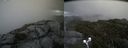 ./images/calvert/buxton2/20190712/buxton220190712_104951M.jpg