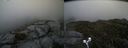 ./images/calvert/buxton2/20190712/buxton220190712_140951M.jpg