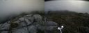 ./images/calvert/buxton2/20190712/buxton220190712_152951M.jpg