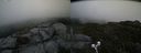 ./images/calvert/buxton2/20190712/buxton220190712_153451M.jpg