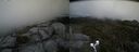 ./images/calvert/buxton2/20190712/buxton220190712_154451M.jpg